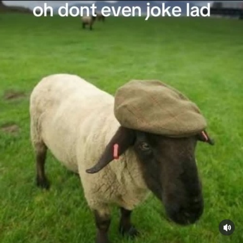 oh dont even joke lad | image tagged in oh dont even joke lad | made w/ Imgflip meme maker