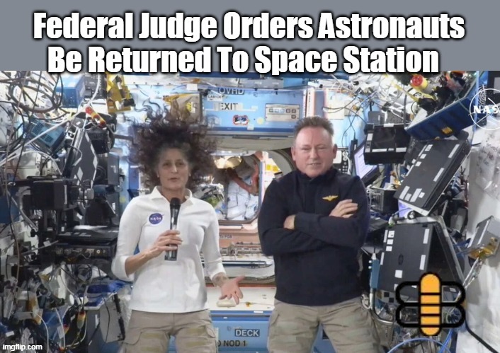 The BEE is the BEST | image tagged in astronauts ordered back federal judge meme | made w/ Imgflip meme maker
