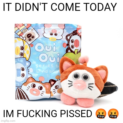 it still says it was supposed to be here Saturday | IT DIDN'T COME TODAY; IM FUCKING PISSED 🤬🤬 | image tagged in ouioui series 6 blindbag | made w/ Imgflip meme maker