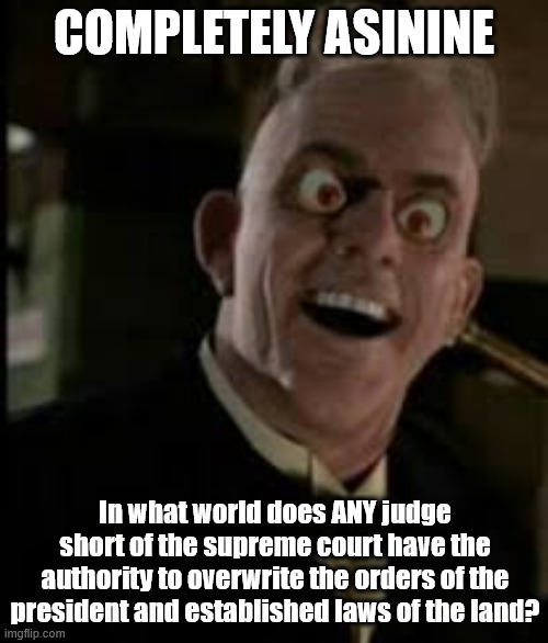 Maybe in Looney Tunes world | COMPLETELY ASININE; In what world does ANY judge short of the supreme court have the authority to overwrite the orders of the president and established laws of the land? | image tagged in judge doom,activist,judge | made w/ Imgflip meme maker