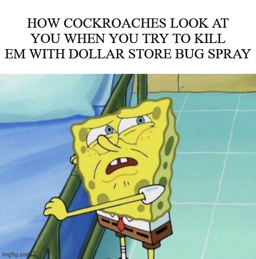 "Dude… seriously?" | HOW COCKROACHES LOOK AT YOU WHEN YOU TRY TO KILL EM WITH DOLLAR STORE BUG SPRAY | image tagged in spongebob,cockroach,memes | made w/ Imgflip meme maker