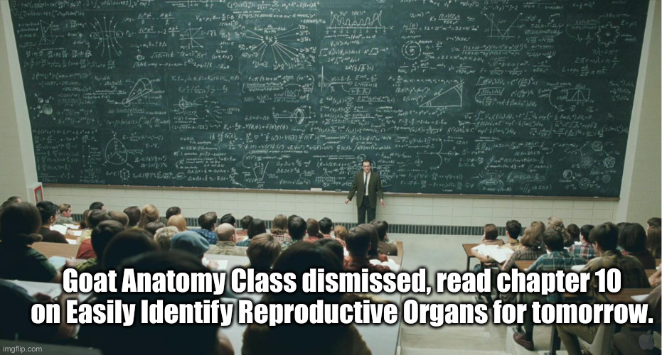 and that, class,... | Goat Anatomy Class dismissed, read chapter 10 on Easily Identify Reproductive Organs for tomorrow. | image tagged in and that class | made w/ Imgflip meme maker