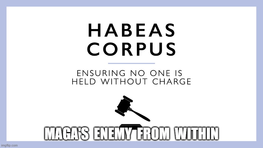 Trump's Bitterest Foe | MAGA'S  ENEMY  FROM  WITHIN | image tagged in trump | made w/ Imgflip meme maker
