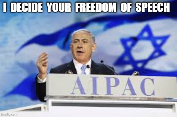 The Hidden Amendment | I  DECIDE  YOUR  FREEDOM  OF  SPEECH | image tagged in constitution | made w/ Imgflip meme maker
