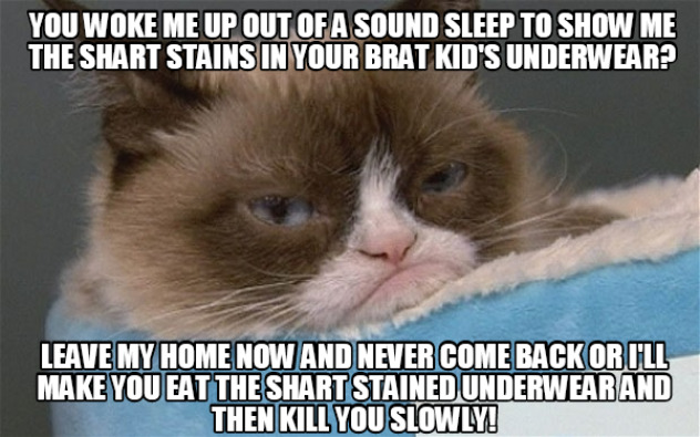 Miss Grump & Shart Stains | image tagged in cats,fun,funny cat memes,grumpy cat not amused,shart,make you eat it then kill you | made w/ Imgflip meme maker