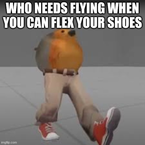 nike | WHO NEEDS FLYING WHEN YOU CAN FLEX YOUR SHOES | image tagged in birds | made w/ Imgflip meme maker