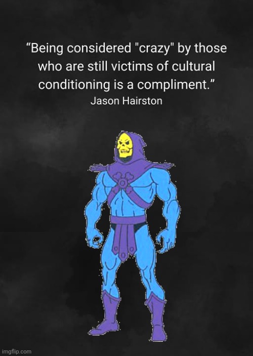 Being considered crazy | image tagged in skeletor,crazy | made w/ Imgflip meme maker