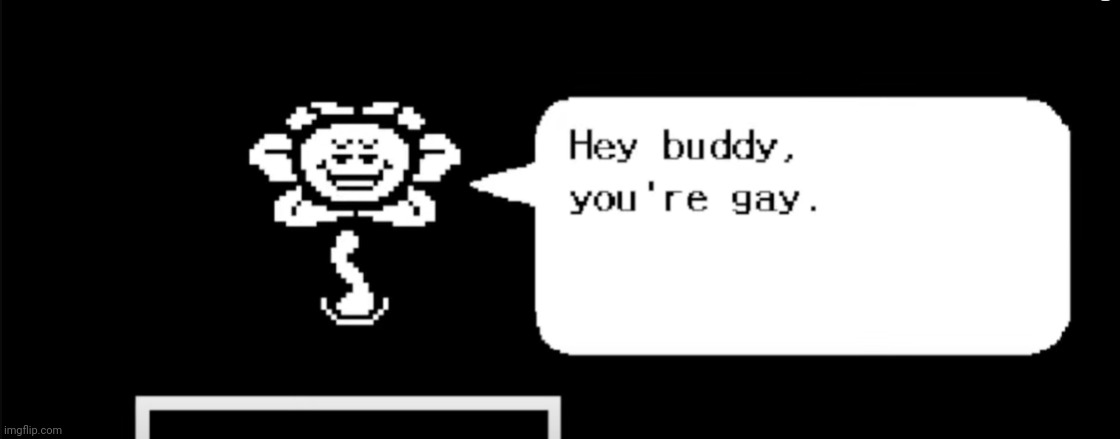 Flowey Hey Buddy you're gay | image tagged in flowey hey buddy you're gay | made w/ Imgflip meme maker
