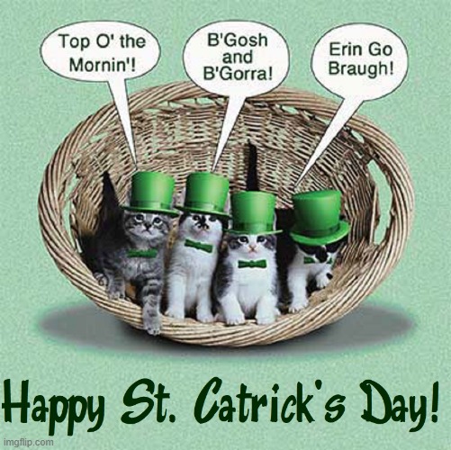 May the Luck o' the Irish be with you today! | image tagged in vince vance,cats,kittens,st patrick's day,funny cat memes,leprechaun | made w/ Imgflip meme maker