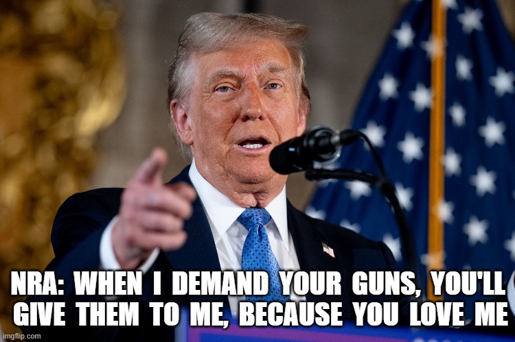 MAGA Values | NRA:  WHEN  I  DEMAND  YOUR  GUNS,  YOU'LL  GIVE  THEM  TO  ME,  BECAUSE  YOU  LOVE  ME | image tagged in guns | made w/ Imgflip meme maker