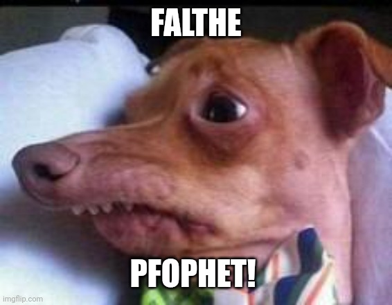 lisp dog | FALTHE; PFOPHET! | image tagged in lisp dog | made w/ Imgflip meme maker