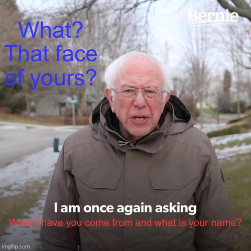 The face | What? That face of yours? Where have you come from and what is your name? | image tagged in memes,bernie i am once again asking for your support | made w/ Imgflip meme maker