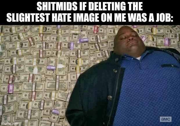 They'd cry and shit their pants when someone dislikes me, even a LITTLE BIT | SHITMIDS IF DELETING THE SLIGHTEST HATE IMAGE ON ME WAS A JOB: | image tagged in huell money | made w/ Imgflip meme maker