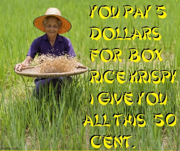 How to Save Money on Talking Cereal | image tagged in vince vance,rice fields,asian lady,rice krispies,memes,old lady | made w/ Imgflip meme maker