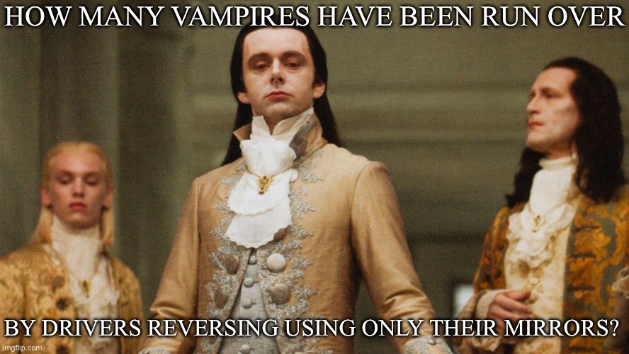 Mirrors | HOW MANY VAMPIRES HAVE BEEN RUN OVER; BY DRIVERS REVERSING USING ONLY THEIR MIRRORS? | image tagged in judgmental volturi,mirrors,reverse,vampires | made w/ Imgflip meme maker