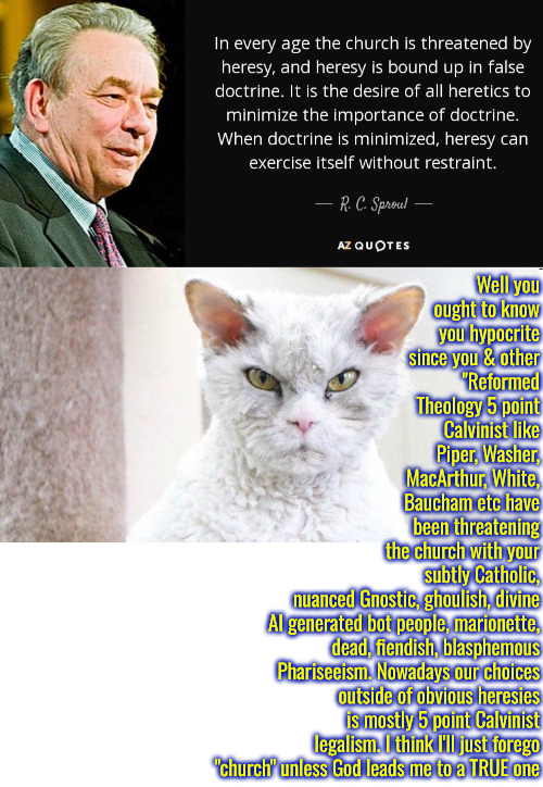 Sproul Being A Hypocrite | Well you ought to know you hypocrite since you & other "Reformed Theology 5 point Calvinist like Piper, Washer, MacArthur, White, Baucham etc have been threatening the church with your; subtly Catholic, nuanced Gnostic, ghoulish, divine AI generated bot people, marionette, dead, fiendish, blasphemous Phariseeism. Nowadays our choices outside of obvious heresies is mostly 5 point Calvinist legalism. I think I'll just forego "church" unless God leads me to a TRUE one | image tagged in calvinism,arminian,molinism,reformed theology 5 point pastors,hypocritical,ai nuanced gnostic dead legalistic lie | made w/ Imgflip meme maker