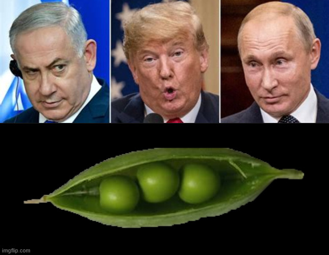 Three peas in a pod | image tagged in three peas in a pod,netanyahu trump putin,3 antichrists,war criminals,wwiii,crimes against humanity | made w/ Imgflip meme maker