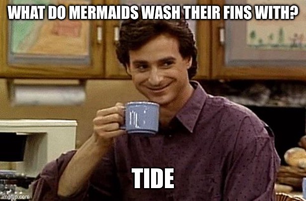 Dad Joke | WHAT DO MERMAIDS WASH THEIR FINS WITH? TIDE | image tagged in dad joke | made w/ Imgflip meme maker