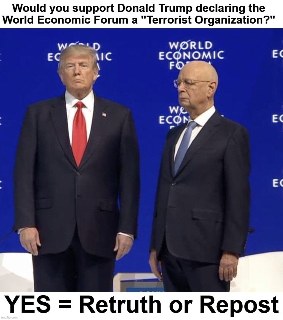 Would you support Donald Trump declaring the World Economic Forum a "Terrorist Organization?" | image tagged in i did nazi that coming,world economic forum,neo-nazis,nazis,indiana jones punching nazis,terrorists | made w/ Imgflip meme maker