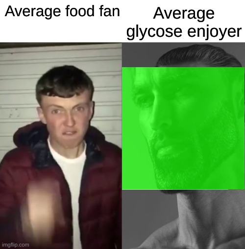 A photosynthesis meme | Average glycose enjoyer; Average food fan | image tagged in average fan vs average enjoyer | made w/ Imgflip meme maker