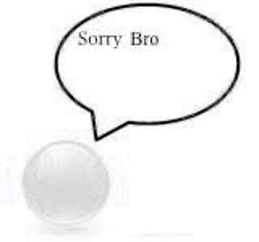 Sorry Bro | image tagged in sorry bro | made w/ Imgflip meme maker
