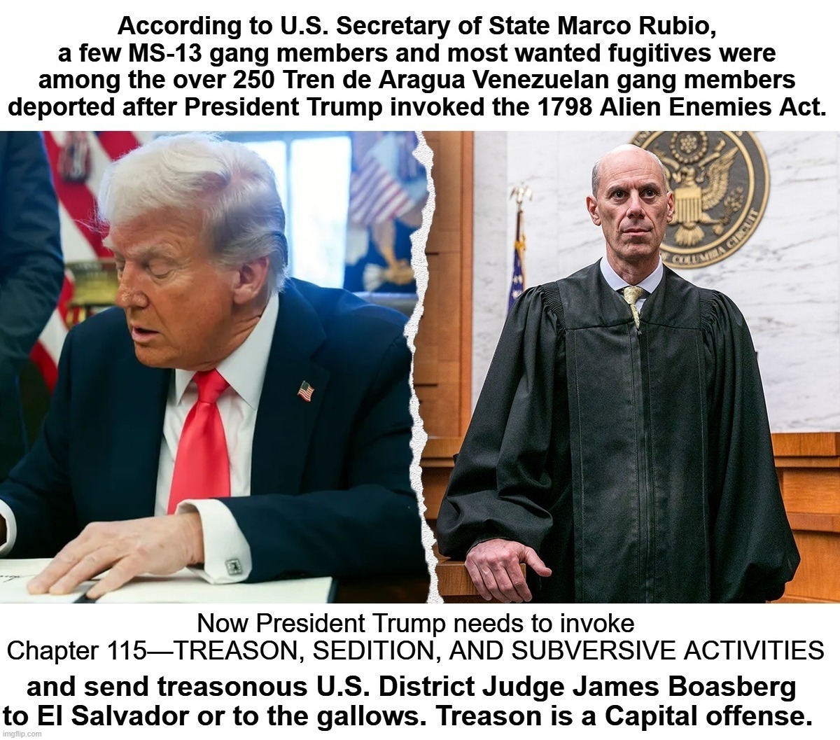 The System Can Be Fixed. All you need is some rope and a little wood. | image tagged in president trump,treasonous judge,treason,capital punishment,fafo,fuck around and find out | made w/ Imgflip meme maker