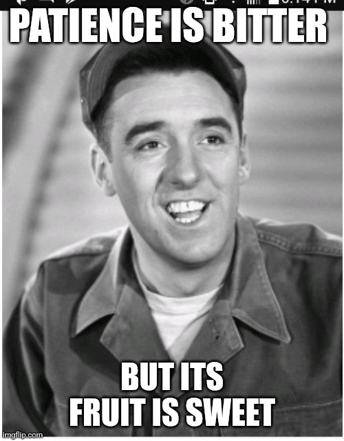 Patience | PATIENCE IS BITTER; BUT ITS FRUIT IS SWEET | image tagged in luke bryan is gomer pyle,funny memes | made w/ Imgflip meme maker