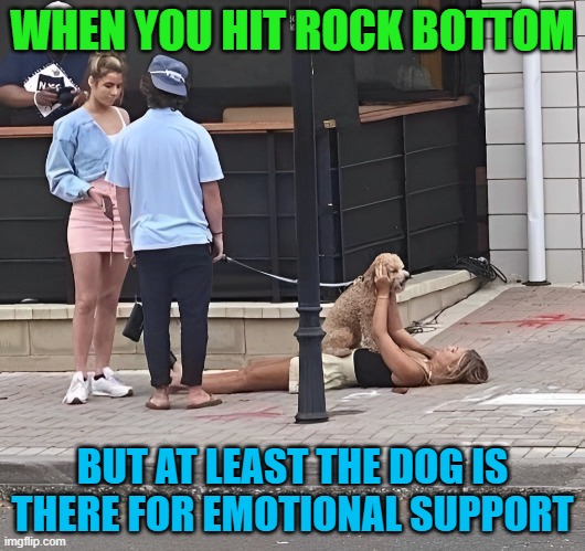 emotional support | WHEN YOU HIT ROCK BOTTOM; BUT AT LEAST THE DOG IS THERE FOR EMOTIONAL SUPPORT | image tagged in memes | made w/ Imgflip meme maker