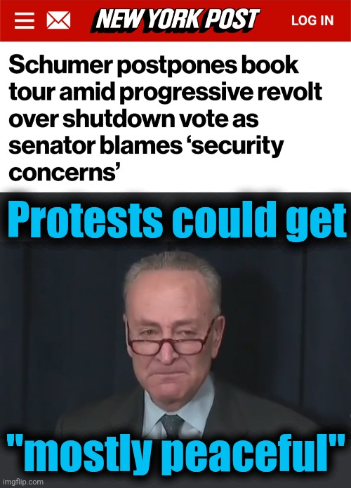 Protests could get; "mostly peaceful" | image tagged in chuck schumer crying,memes,mostly peaceful,protests,book tour,government shutdown | made w/ Imgflip meme maker