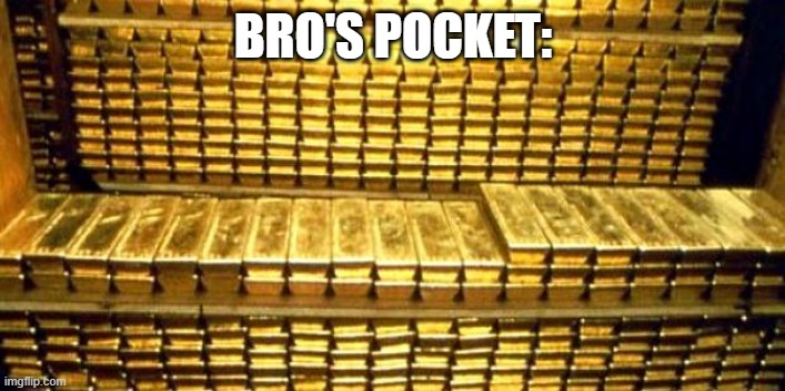 gold bars | BRO'S POCKET: | image tagged in gold bars | made w/ Imgflip meme maker