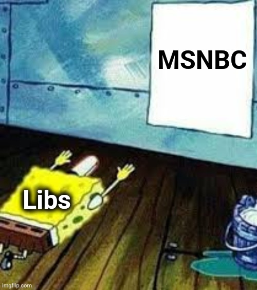 spongebob worship | MSNBC Libs | image tagged in spongebob worship | made w/ Imgflip meme maker