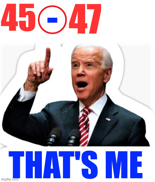 Biden will forever be remembered as Hyphen | 45 THAT'S ME - 47 | image tagged in joe biden,aka hyphen | made w/ Imgflip meme maker