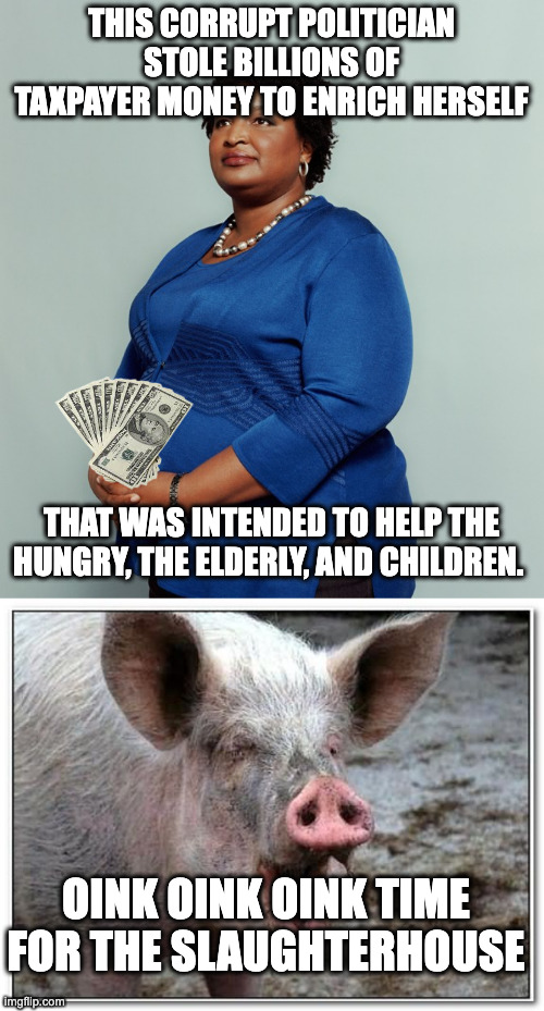 THIS CORRUPT POLITICIAN STOLE BILLIONS OF TAXPAYER MONEY TO ENRICH HERSELF THAT WAS INTENDED TO HELP THE HUNGRY, THE ELDERLY, AND CHILDREN.  | image tagged in stacy abrams,pig | made w/ Imgflip meme maker