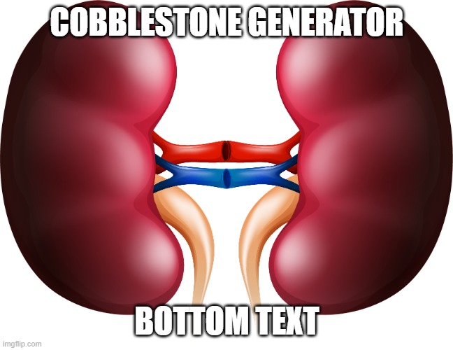 mod note: the joke is kidney stones | COBBLESTONE GENERATOR; BOTTOM TEXT | image tagged in kidney | made w/ Imgflip meme maker