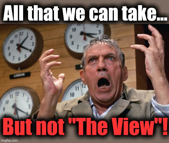 Mad as hell | All that we can take... But not "The View"! | image tagged in mad as hell | made w/ Imgflip meme maker