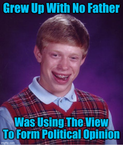 Good For Us ! | Grew Up With No Father Was Using The View To Form Political Opinion | image tagged in memes,bad luck brian,political meme,politics,funny memes,funny | made w/ Imgflip meme maker