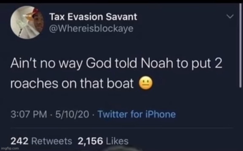 Roaches on da ark | image tagged in roach,noah's ark,christianity,memes,funny,twitter | made w/ Imgflip meme maker