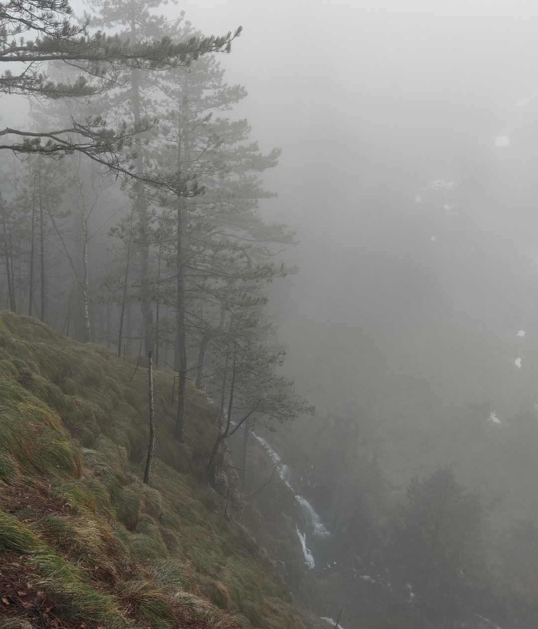 Nature. Blank Meme Template