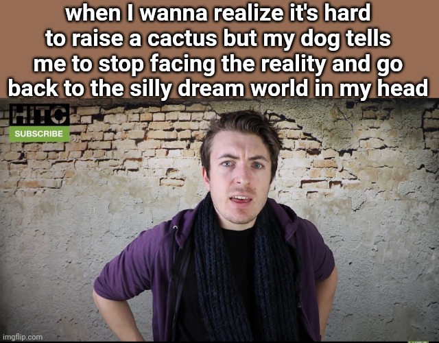 Irish Guy Confused | when I wanna realize it's hard to raise a cactus but my dog tells me to stop facing the reality and go back to the silly dream world in my head | image tagged in irish guy confused | made w/ Imgflip meme maker