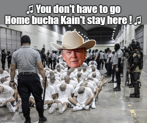 The Donald ALWAYS playing my song... | ♫ You don't have to go Home bucha Kain't stay here ! ♫ | image tagged in dont have to go home trump el salvador | made w/ Imgflip meme maker