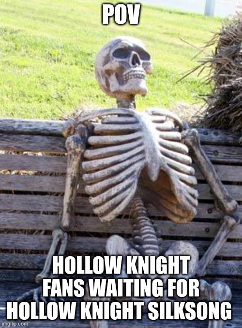 this is never coming out I swear | POV; HOLLOW KNIGHT FANS WAITING FOR HOLLOW KNIGHT SILKSONG | image tagged in memes,waiting skeleton,hollow knight,gaming | made w/ Imgflip meme maker