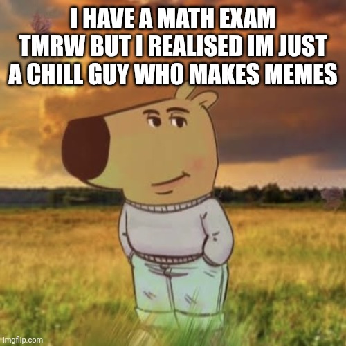 FR i have a math exam tmrw | I HAVE A MATH EXAM TMRW BUT I REALISED IM JUST A CHILL GUY WHO MAKES MEMES | image tagged in chill guy | made w/ Imgflip meme maker