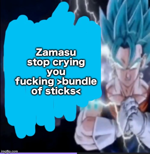 Vegito kys | Zamasu stop crying you fucking >bundle of sticks< | image tagged in vegito kys | made w/ Imgflip meme maker