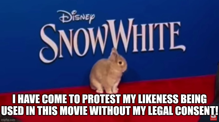 Bunny disapproves of Rachel Zeigler and the 7 PS1 Hagrids | I HAVE COME TO PROTEST MY LIKENESS BEING USED IN THIS MOVIE WITHOUT MY LEGAL CONSENT! | image tagged in funny animals,funny animal meme | made w/ Imgflip meme maker