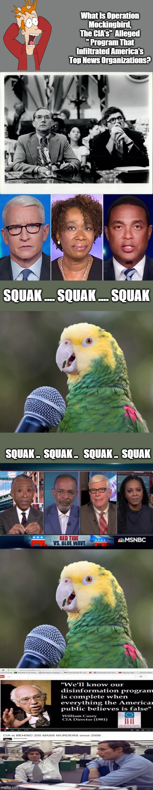 Hey Mom are we there yet ?The ones that are blantant old MSM is more suttle. | What Is Operation Mockingbird, The CIA’s"  Alleged " Program That Infiltrated America’s Top News Organizations? SQUAK .... SQUAK .... SQUAK; SQUAK ..  SQUAK ..   SQUAK ..  SQUAK | made w/ Imgflip meme maker