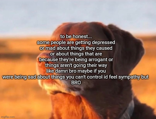 Dog accepting fate | to be honest...
some people are getting depressed or mad about things they caused or about things that are because they're being arrogant or things aren't going their way
like damn bro maybe if you were being sad about things you can't control id feel sympathy but 
BRO | image tagged in dog accepting fate | made w/ Imgflip meme maker