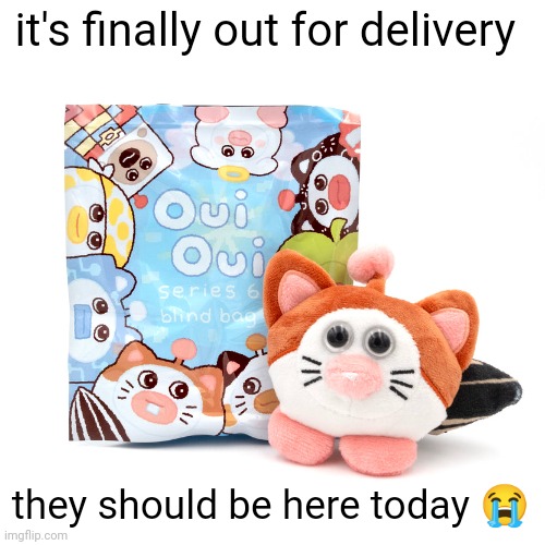 OuiOui Series 6 Blindbag | it's finally out for delivery; they should be here today 😭 | image tagged in ouioui series 6 blindbag | made w/ Imgflip meme maker