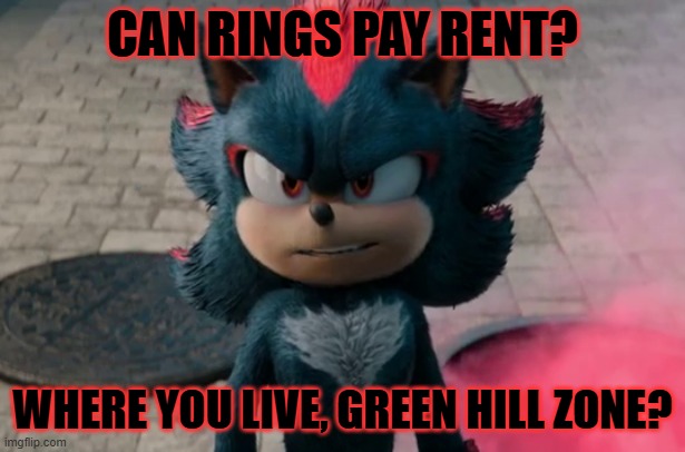 Can rings pay rent? | CAN RINGS PAY RENT? WHERE YOU LIVE, GREEN HILL ZONE? | image tagged in shadow's compliment | made w/ Imgflip meme maker