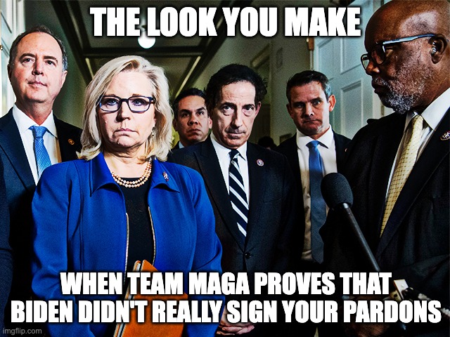 Oh, FUDGE! | THE LOOK YOU MAKE; WHEN TEAM MAGA PROVES THAT BIDEN DIDN'T REALLY SIGN YOUR PARDONS | image tagged in jan 6th,liz cheyney,kinzinger | made w/ Imgflip meme maker