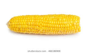 Corn on the cob  | image tagged in corn on the cob | made w/ Imgflip meme maker